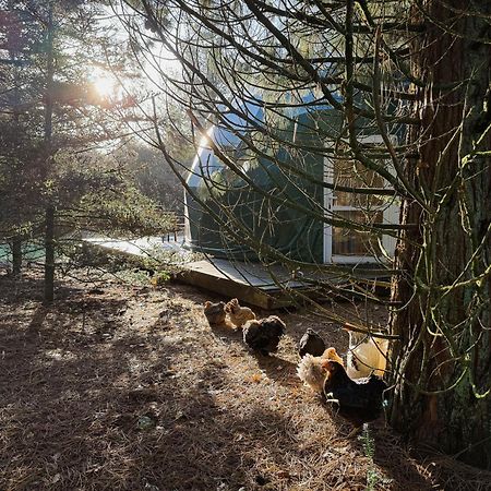 Stay Classy - Domes Otterlo Exterior foto