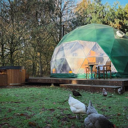 Stay Classy - Domes Otterlo Exterior foto
